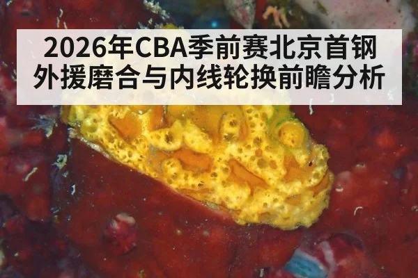 2026年CBA季前赛北京首钢外援磨合与内线轮换前瞻分析